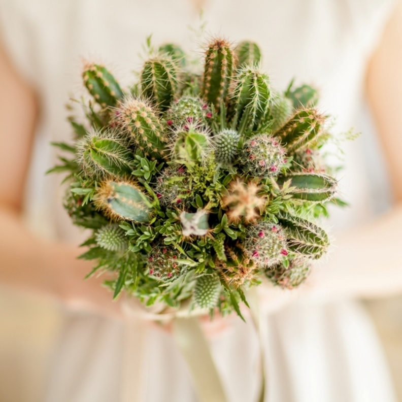 قوالب حلوى باللون الاخضر