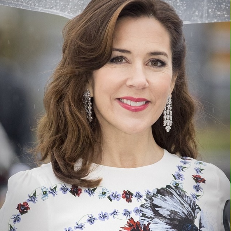 أبناء ولي عهد الدانمارك