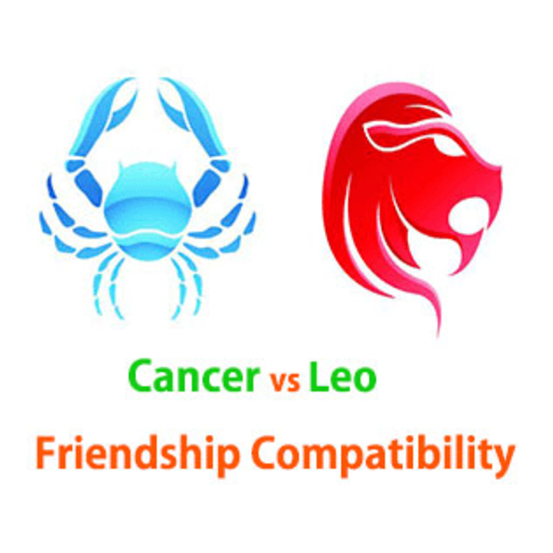 حبّ الاسد للقيادة وولاء السرطان لمحبيه يعزز الروابط بينهما ويقويها