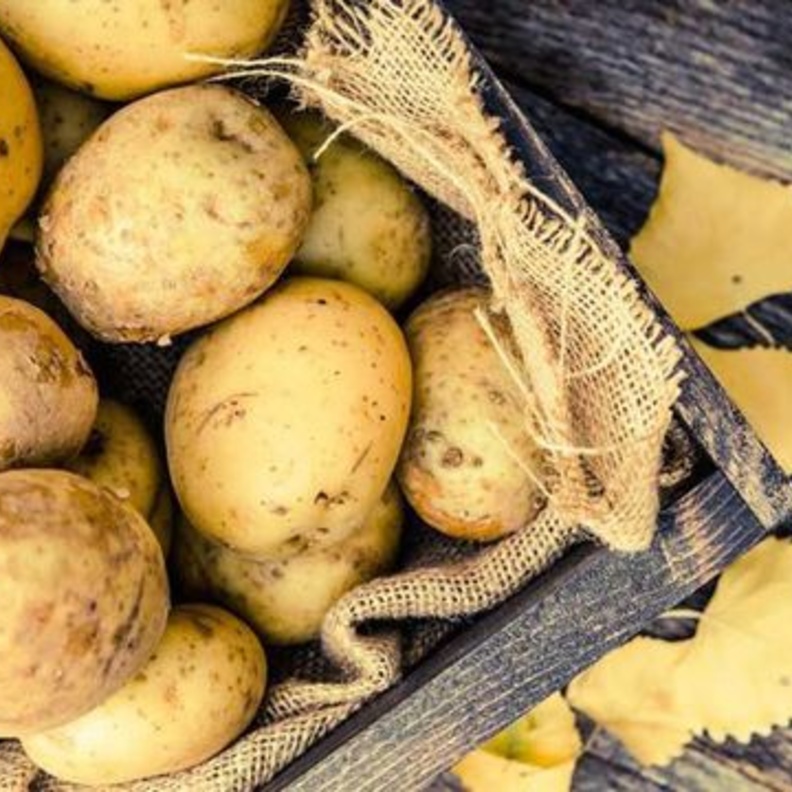 البطاطا تمنح الجسم السعرات الحرارية و الطاقة