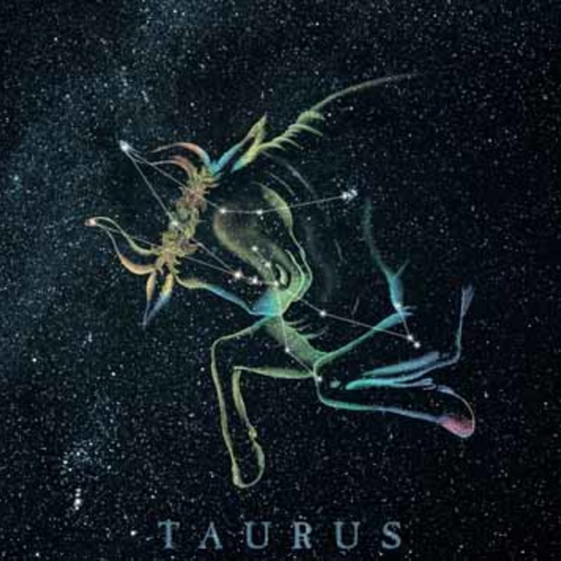 مولود الثور مميّز بقوة شخصيته وصبره لكنه يمتلك بعض العيوب