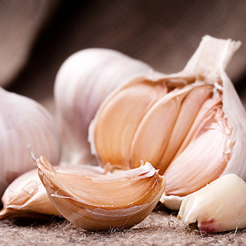 الثوم يرفع مناعة الجسم ضد الأمراض