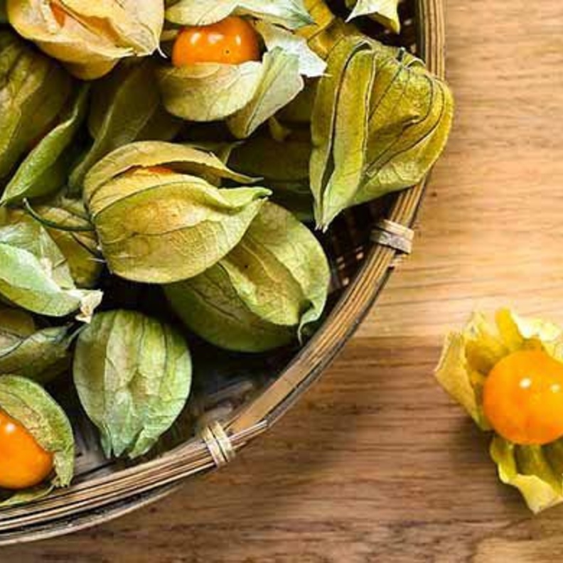 الحرنكش يحمي القلب من الأمراض