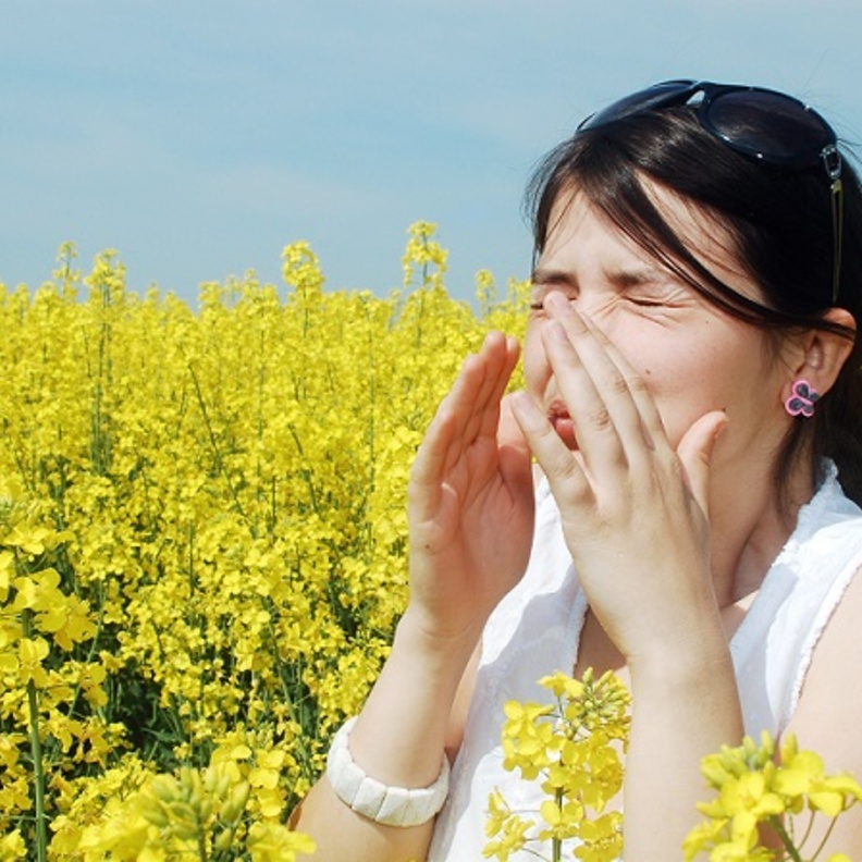 الحساسية الموسمية سببها انتشار حبوب الطلع