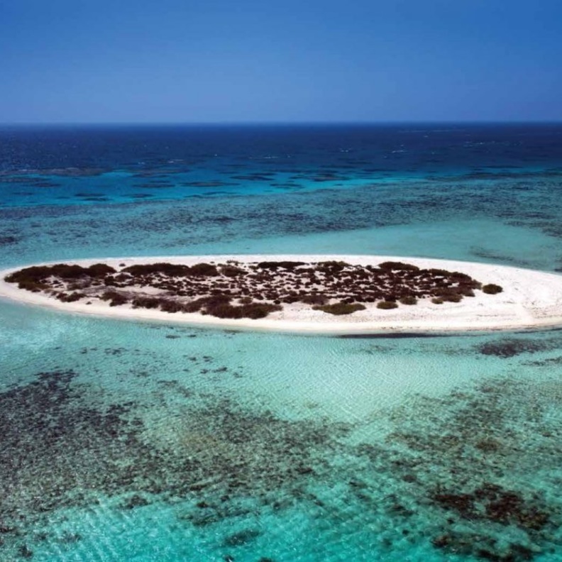 تجربة فريدة في أعماق البحر.