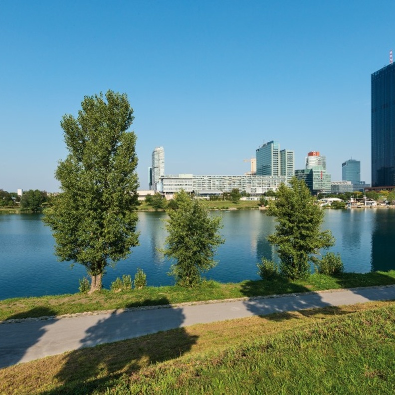 من جزيرة نوتردام في كندا