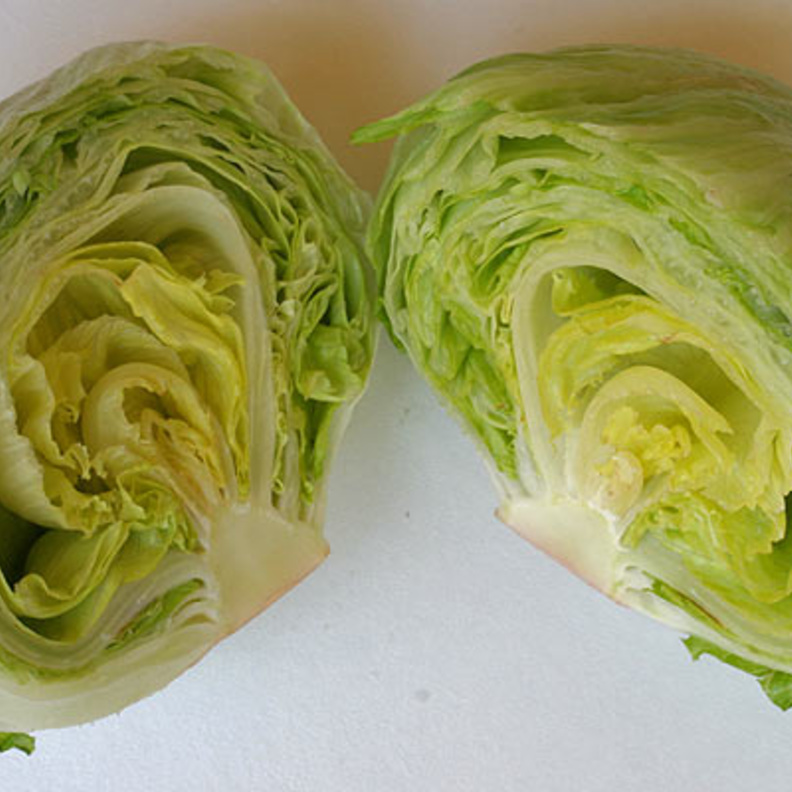 فيديو..خليجية تكشف طريقة بسيطة لإكتشاف الديدان في الخس 