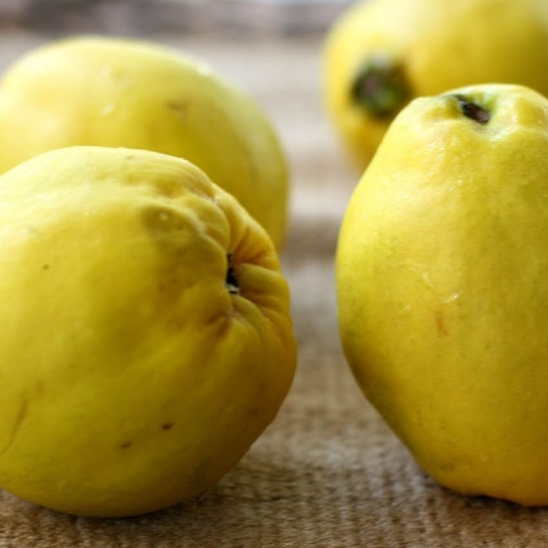 السفرجل يرفع من مناعة الجسم