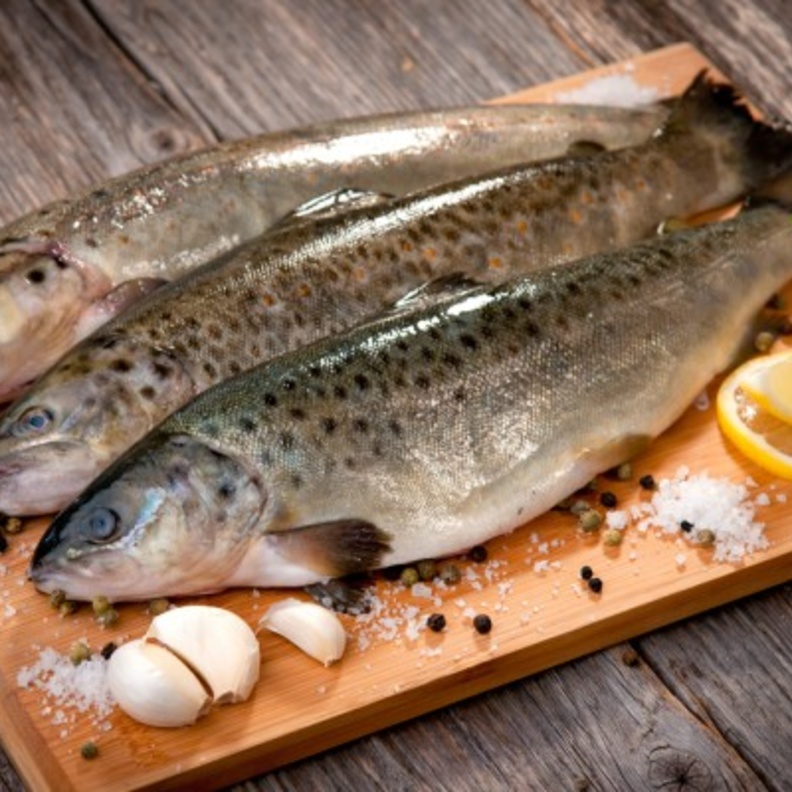 السمك مفيد لصحة المفاصل