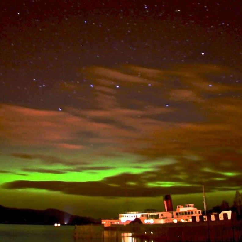 من منتزه غالواي فورست.. عالم من الرومنسية