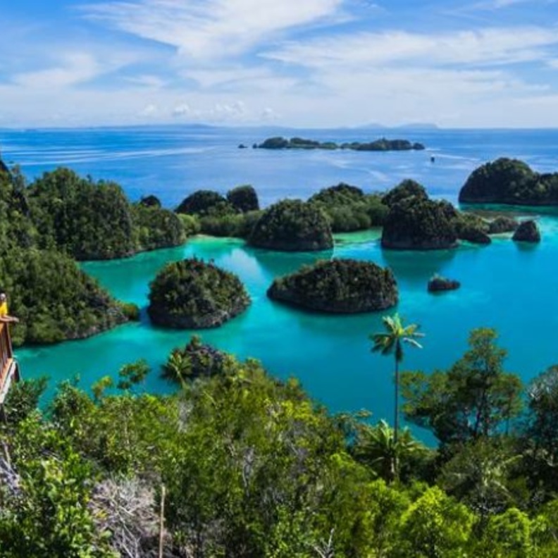 جمال الطبيعة في كومودو