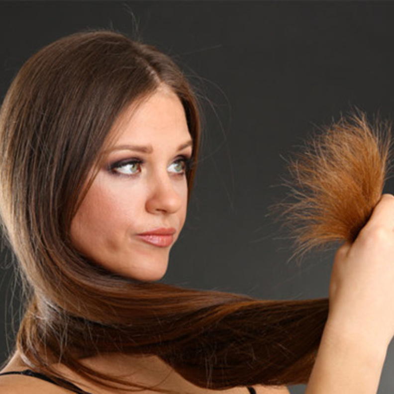 فوائد القسط الهندي للشعر الجاف والمتقصف