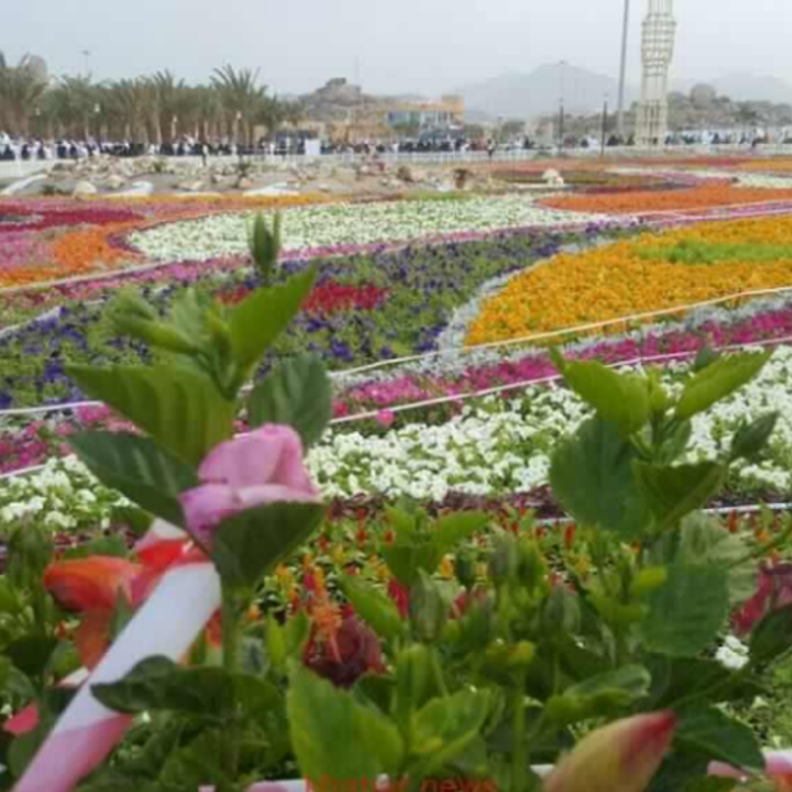 لقطة قبل إفتتاح مهرجان ورود الطائف.