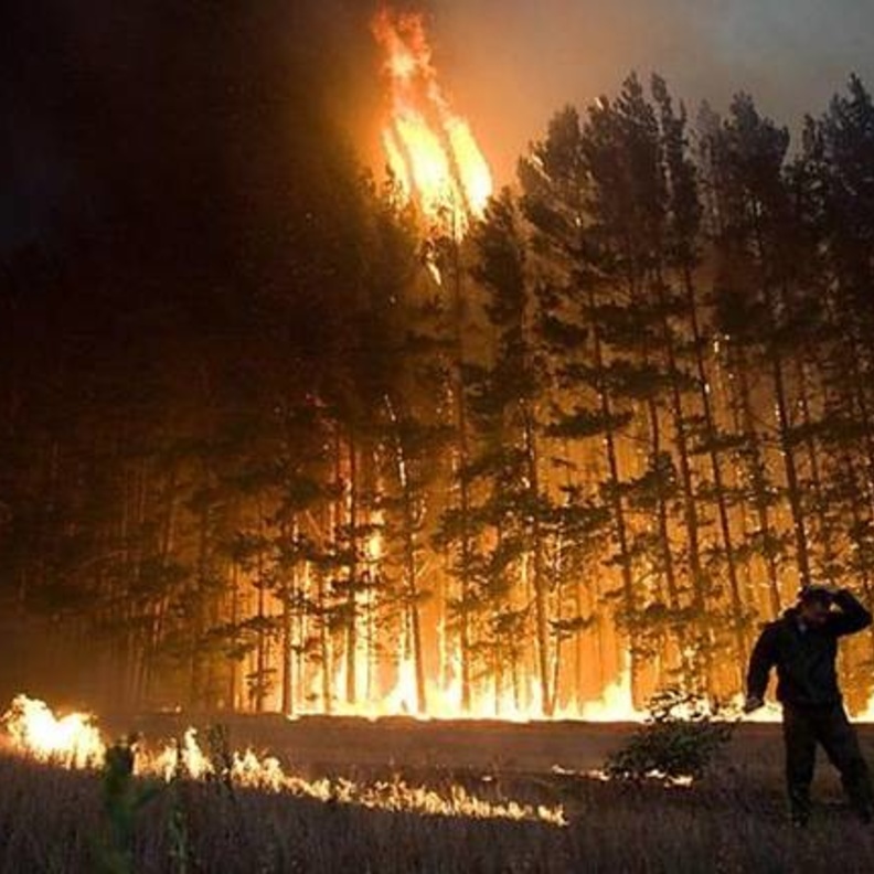 وضع المتهم الرئيسي قيد الإقامة الجبرية