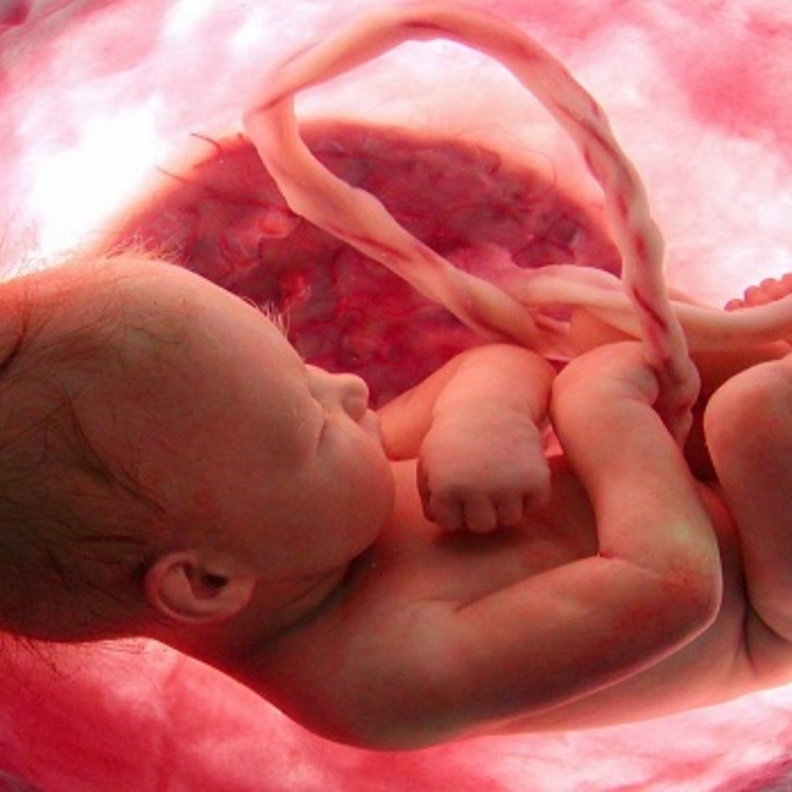 اسباب امراض قلب الاطفال اثناء الحمل هل يتم علاجها