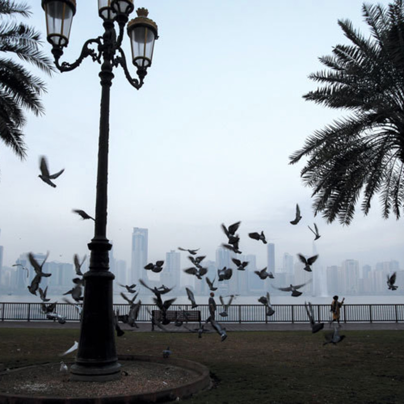 طقس بارد وامطار في الأيام المقبلة بالإمارات