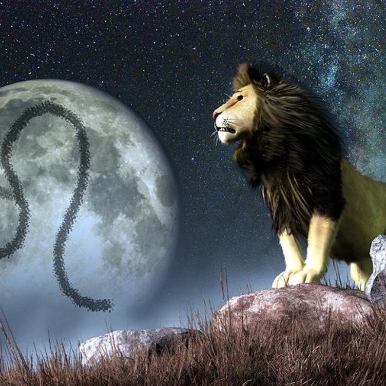 يعتبر نفسه ملكاً ويسمح لنفسه بأن يتسلّط على المحيطين به