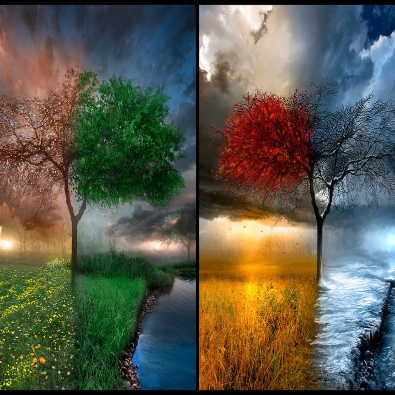  تأثير الفصول الأربعة على الحالة المزاجية أمر مثبت علميا