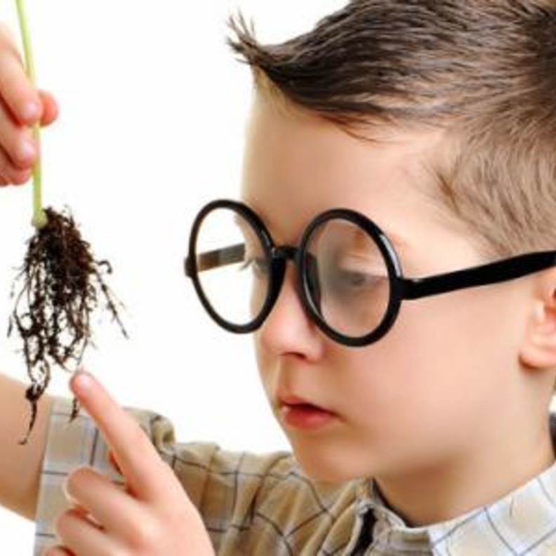 اطعمه تزيد من ذكاء الطفل