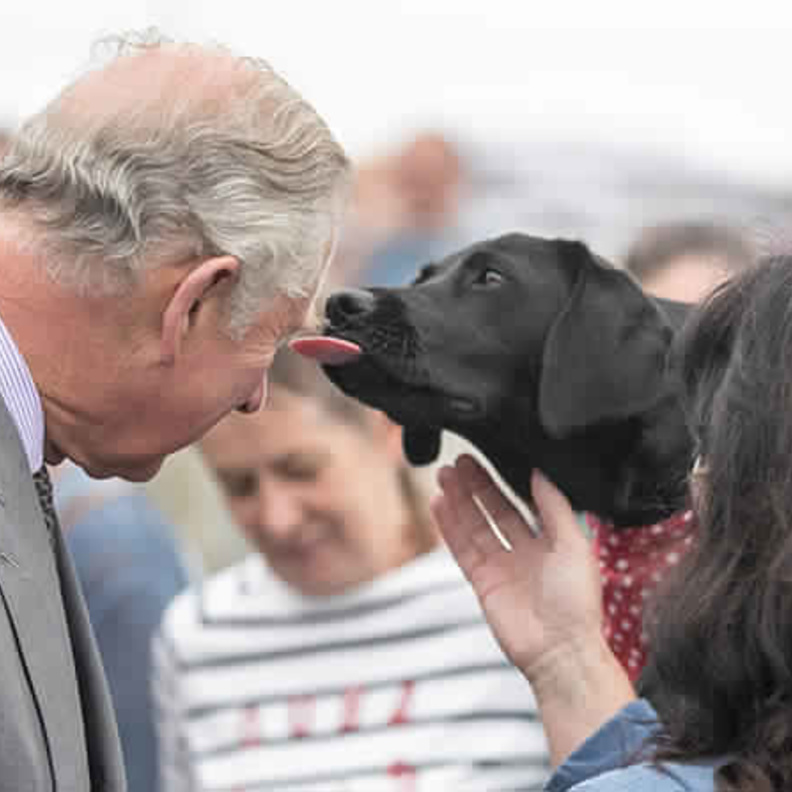 مهام رسمية للأمير تشارلز و دوقة كورنوال