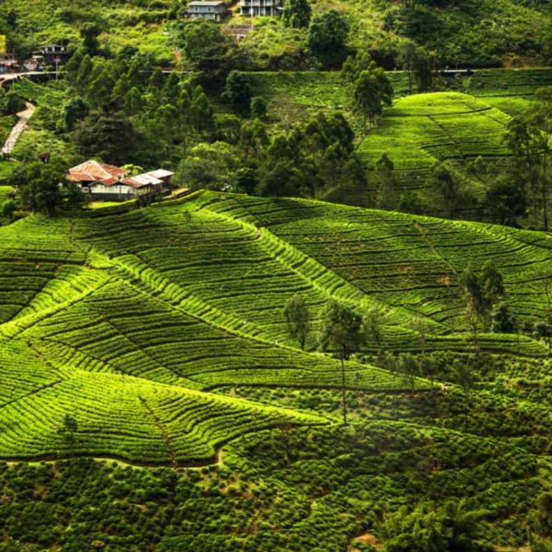  تعد واحدة من أفضل البلدان السياحية في منطقة جنوب آسيا
