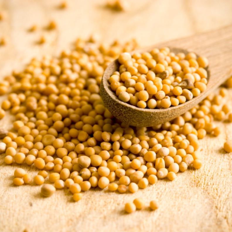  حبوب الخردل تحمي من السرطان