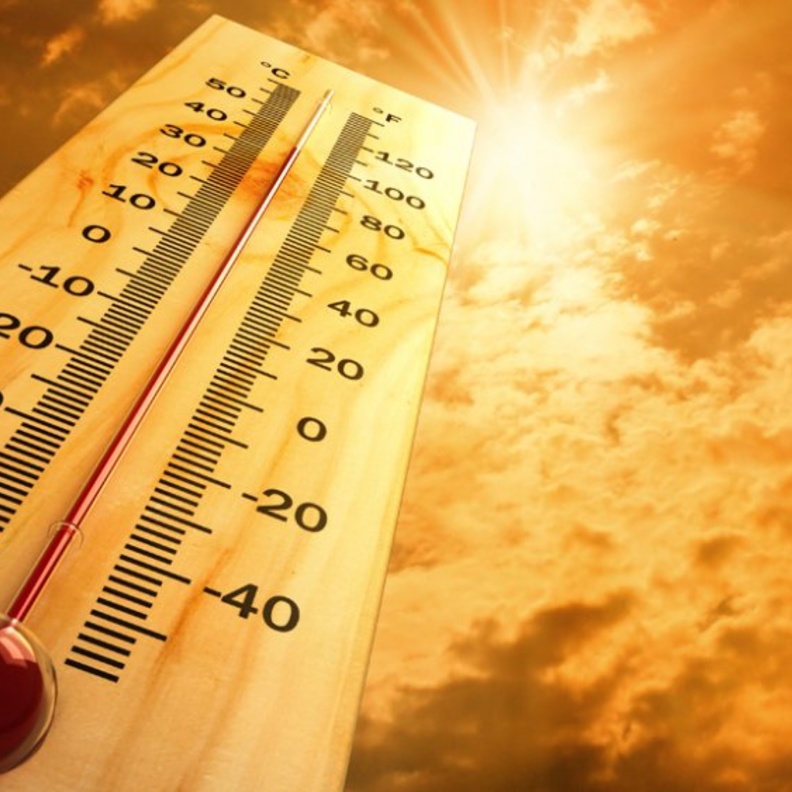 حرارة الطقس في فصل الصيف في السعةدية تسبب الأمراض الجلدية