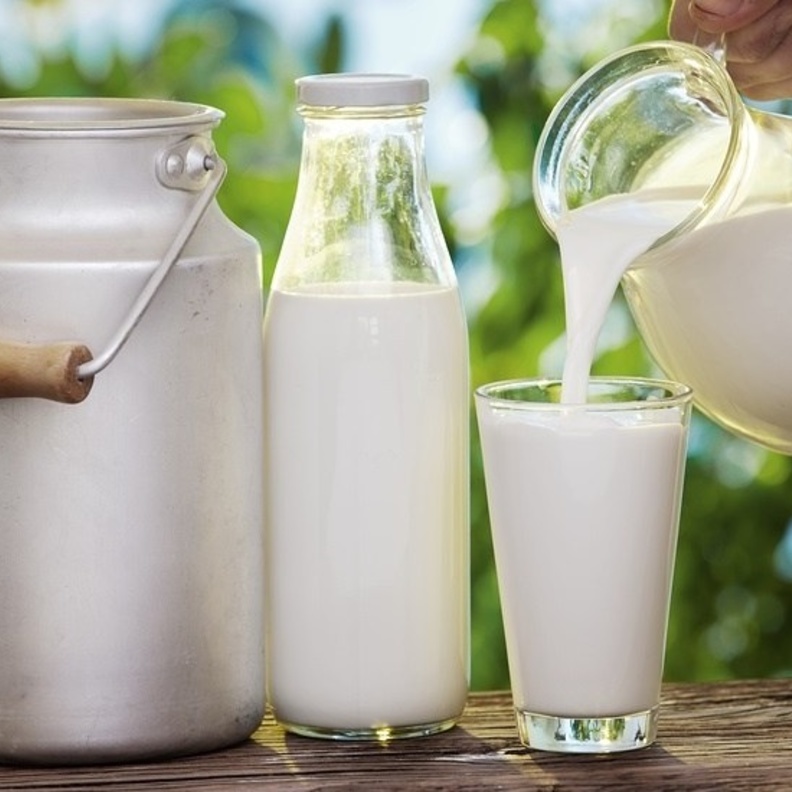 حليب الماعز يعزز مناعة الجسم