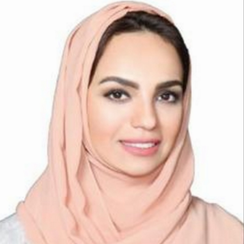 ملكة جمال العرب بامريكا لعام 2014 غنوة زين الدين