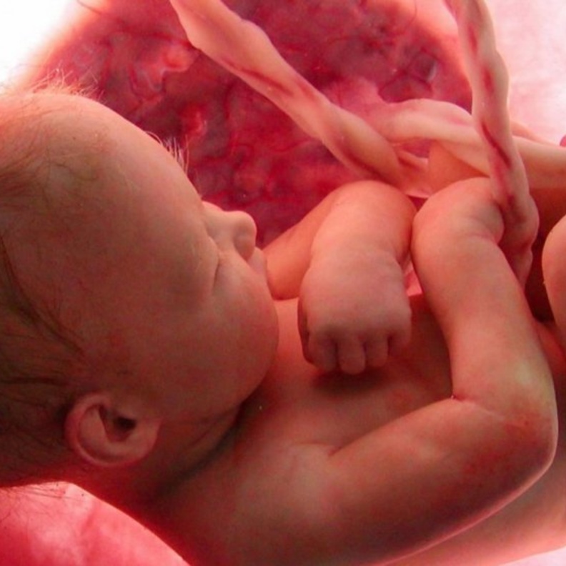 ولادة طفل خالي من العيوب الخلقية تبدأ قبل الحمل