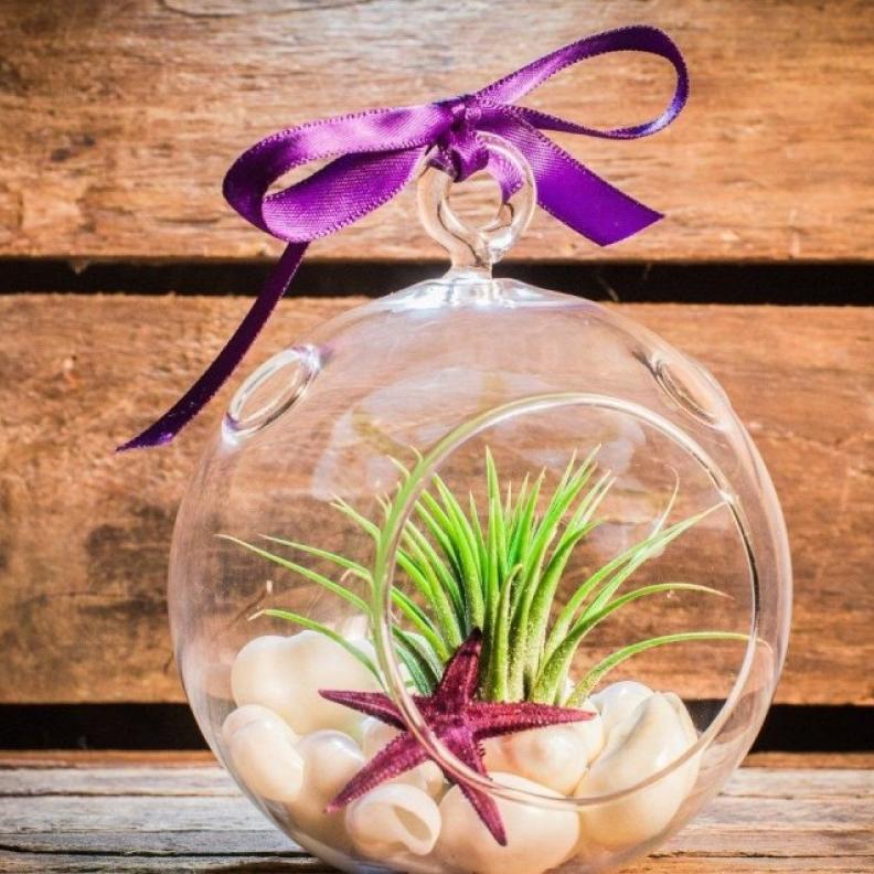 اكسسوارات زجاجية مطعمة بالقواقع