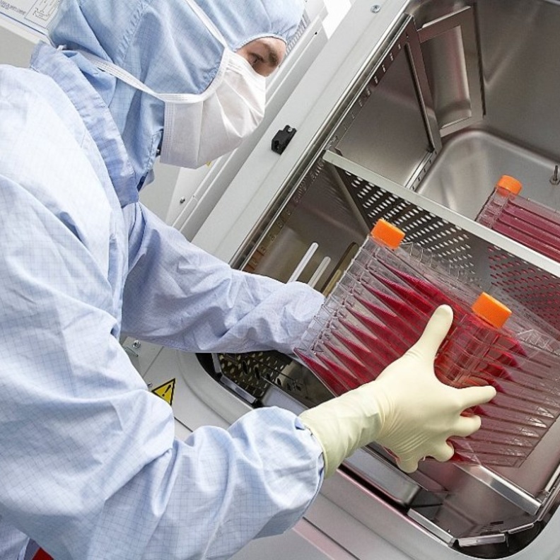 وجود تقارير و دراسات طبية تثبت حدوث مضاعفات للعلاج بالخلابا الجذعية