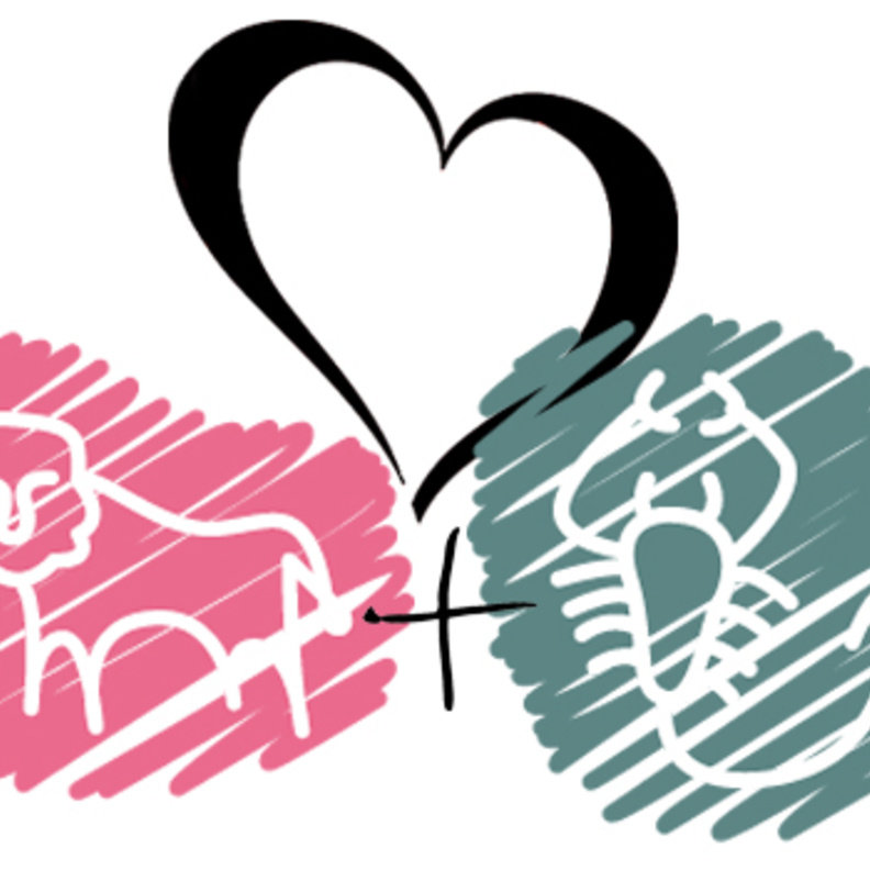 علاقة صعبة ومعقّدة تربط بين رجل الاسد مع المرأة العقرب