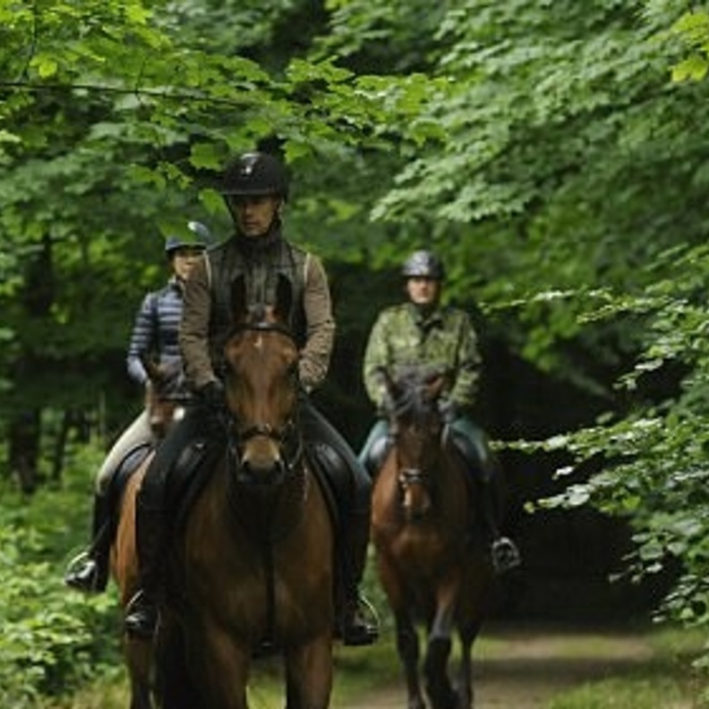 الأميرة ماري ظهرت بملابس أنيقة لركوب الخيل