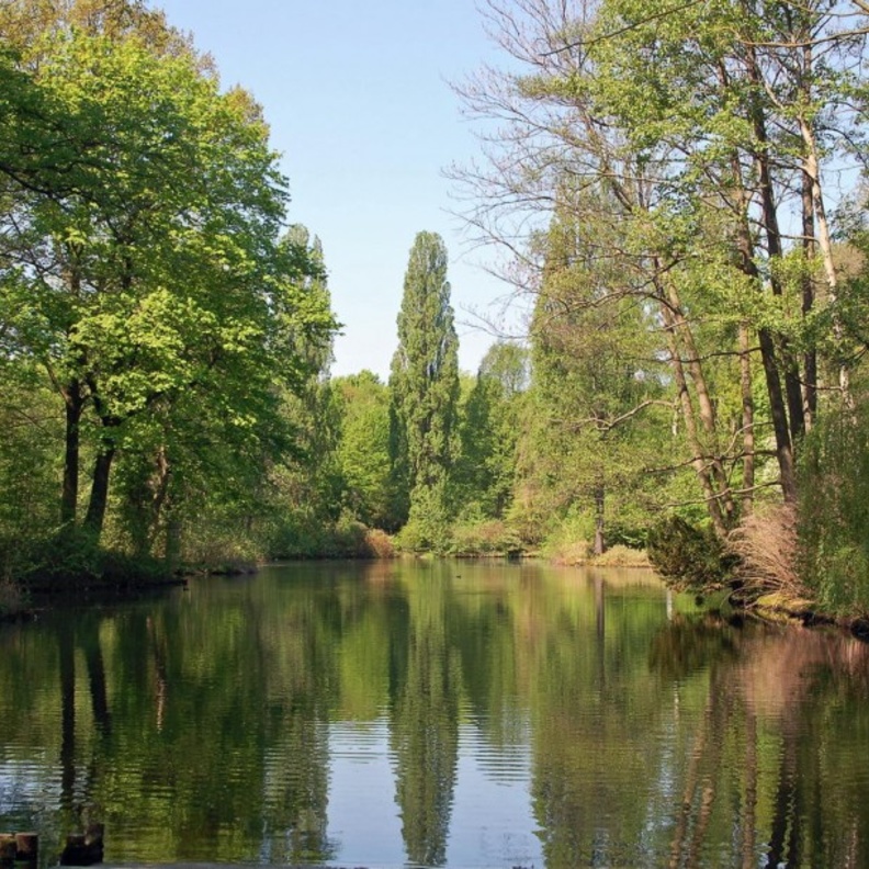 فصر شارلوتنبورغ