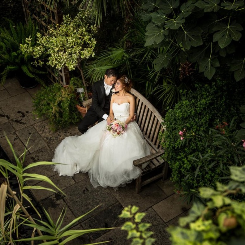 لقطات لتصوير العرسان بين الاشجار الجميلة