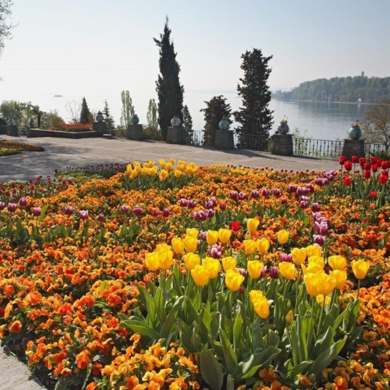 جزيرة مايناو