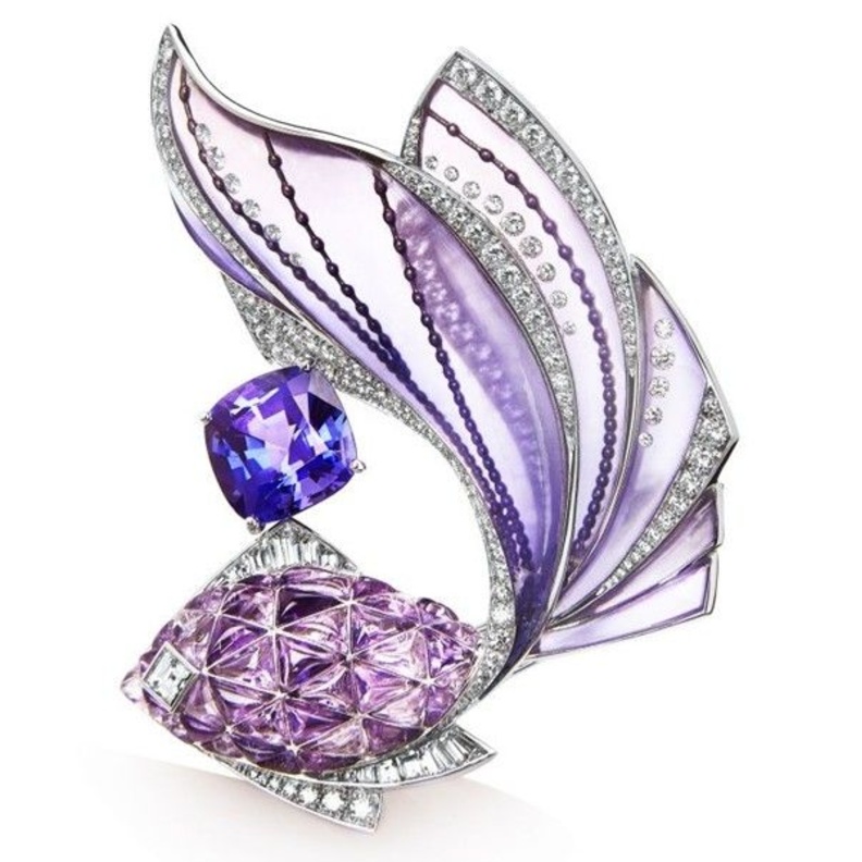 بروش من بوشرون