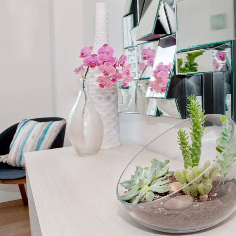 أحواض نباتات شوكية تستخدم في ديكور غرف تعشق الطبيعة