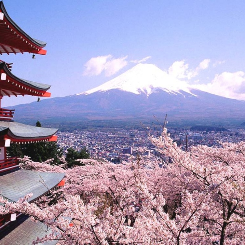 جزيرة هونشو