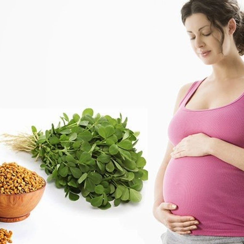 ما هي فوائد الحلبة للمرأة التي تريد الحمل وطرق إستعمال الحلبة للحمل؟