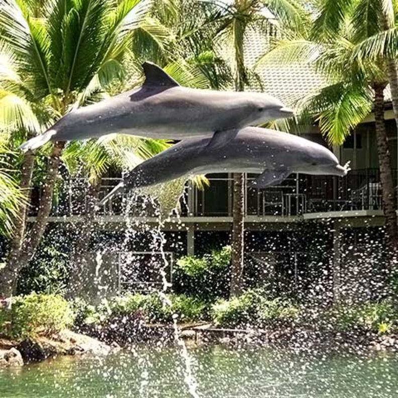 فندق و منتجع Kahala - هاواي أنشطة ترفيهية عديدة لشهر العسل