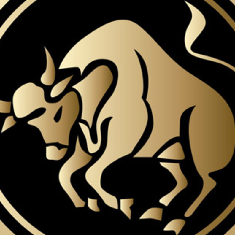 لا يحبّ المجازفة في حياته المهنية والعاطفية بل يفضّل اعتماد خطوات ثابتة وعملية