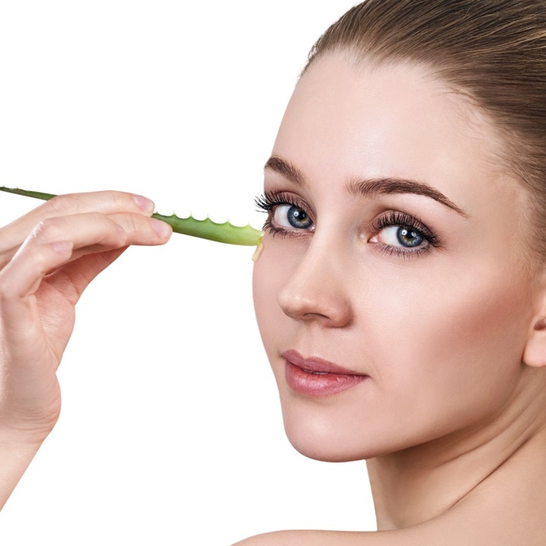 الصبار يعالج حروق الشمس.