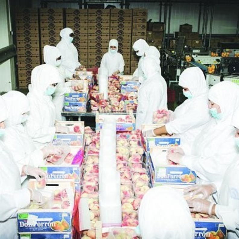 تخصيص 200 بسطة للسيدات في سوق بالسعودية