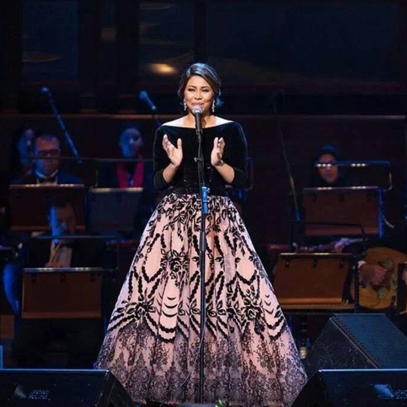 أسلوب ناعم وأميري لشيرين عبد الوهاب على المسرح بفستان من المخمل وقماش الشيفون بتنورة واسعة مطرزة