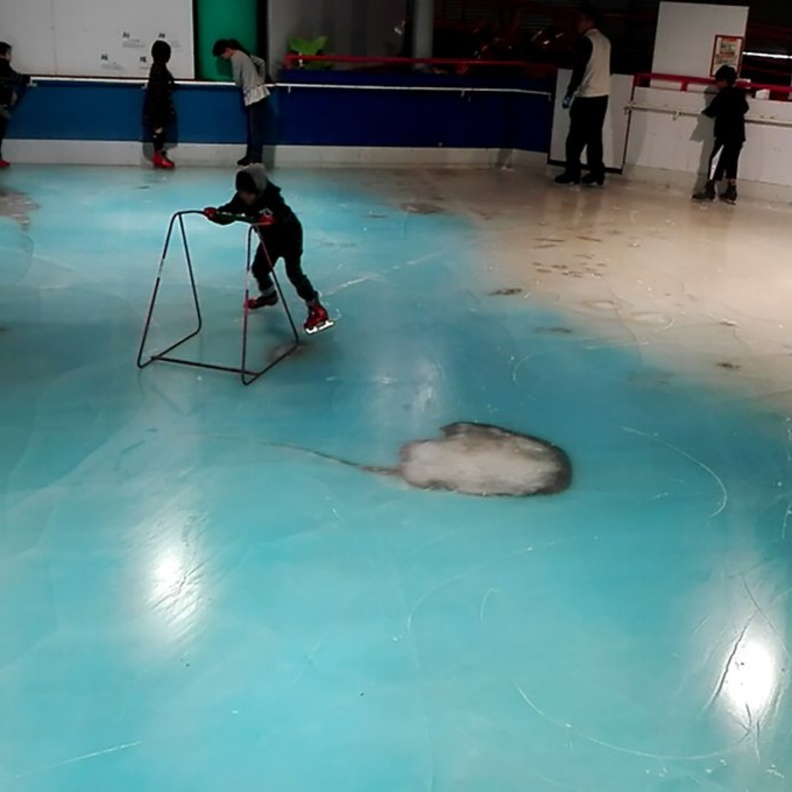 أسماك حقيقية ورسومات ثلاثية في الحلبة المجمدة