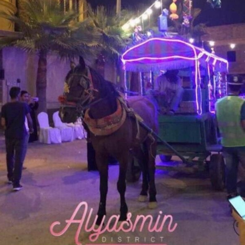 فرحة الاطفال بالاحتفالات