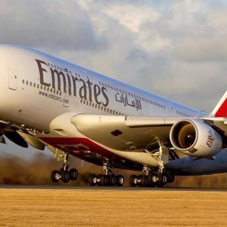 استئناف الرحلة بعد مطاردة الأفعى في مطار دبي