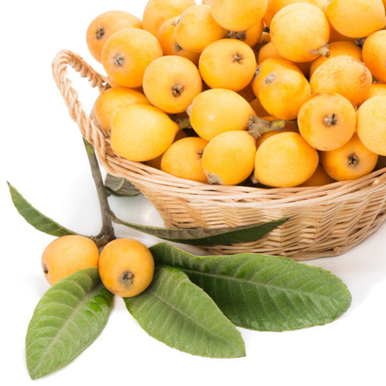 فوائد اسكدنيا للصحة والرشاقة